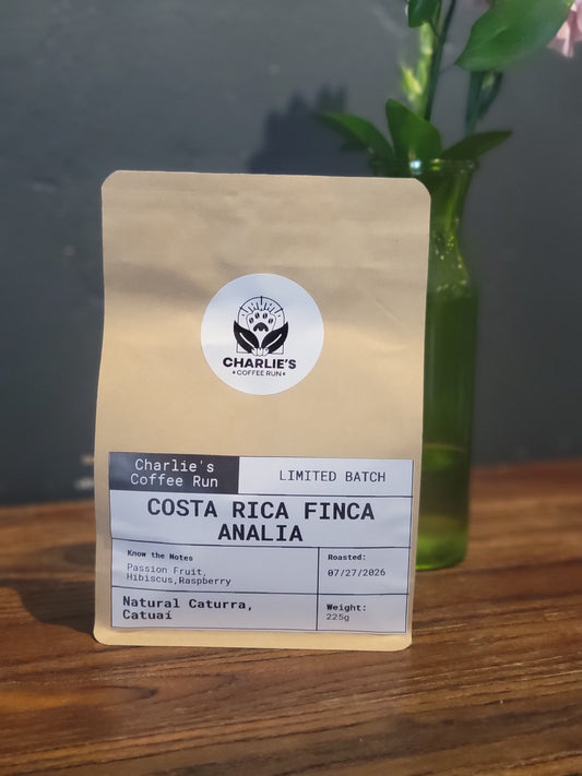 Costa Rica Finca Analia
